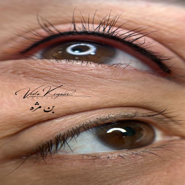 ماندگاری بن مژه
